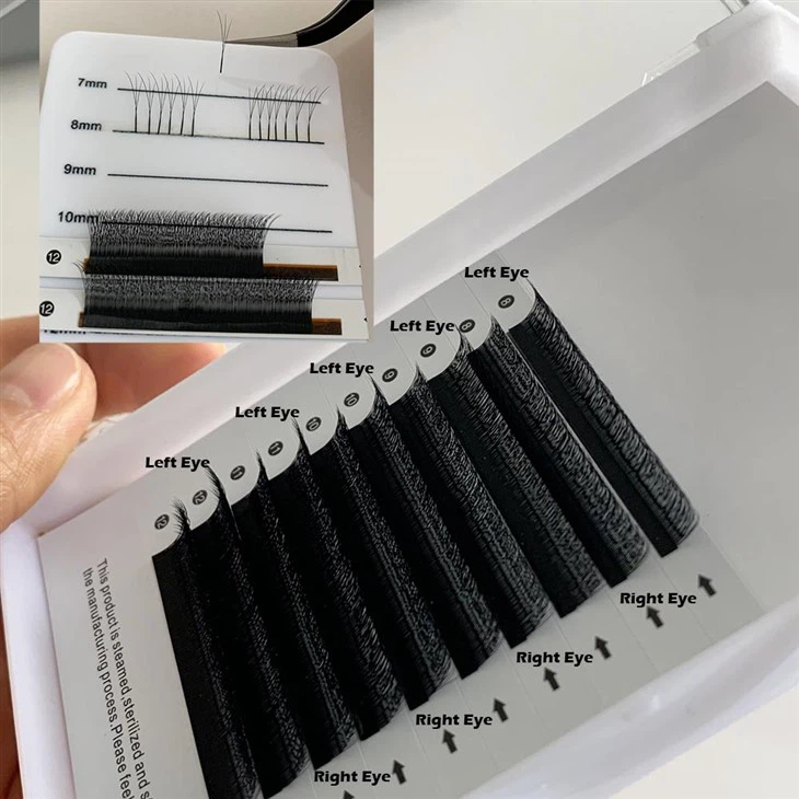 3d Estensjonijiet Lash